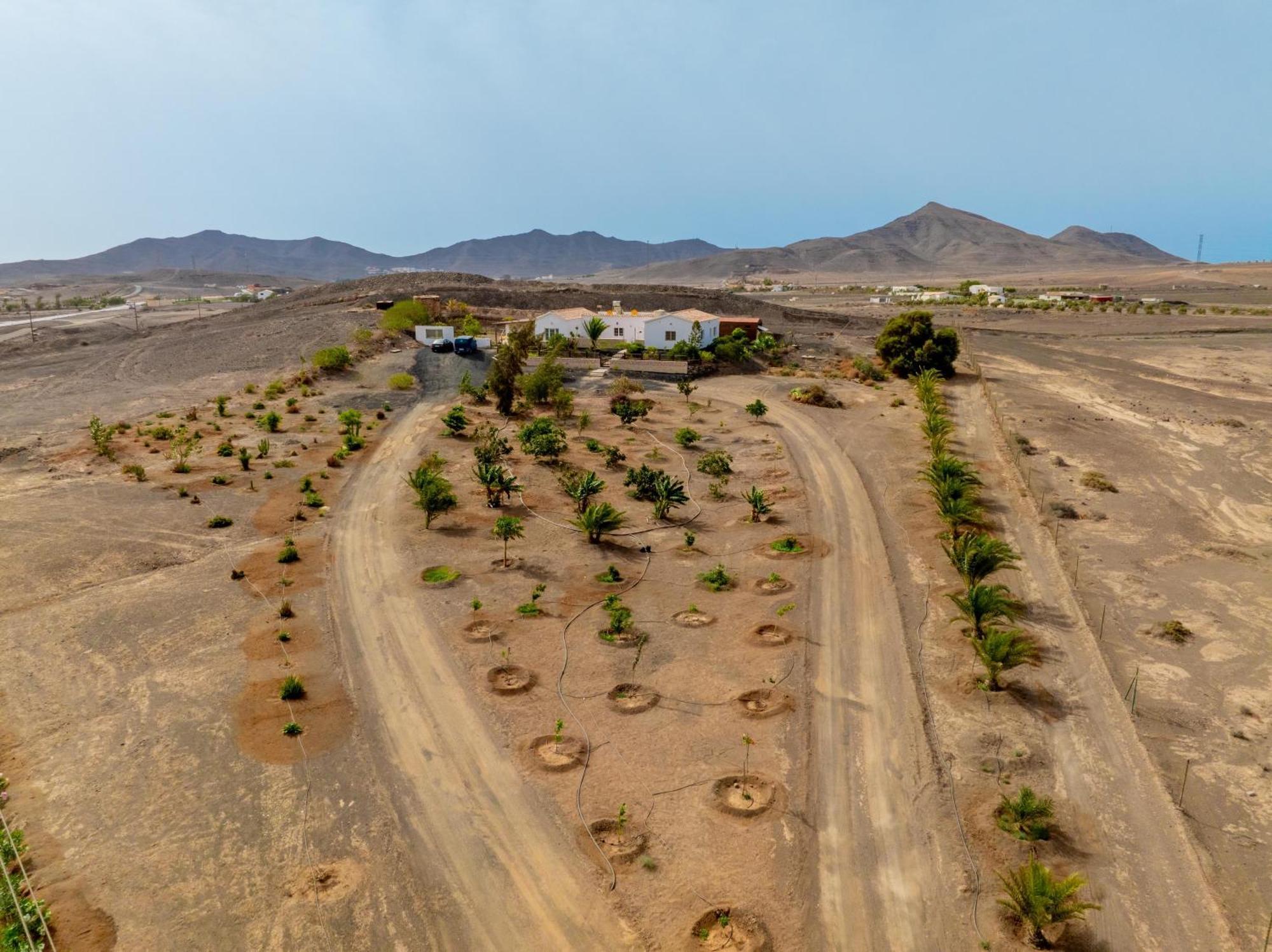 Casa Amaya - Spacious House With Pool, Large Garden, Bbq, 2 Terraces, And Ideal Location El Charco  Екстериор снимка